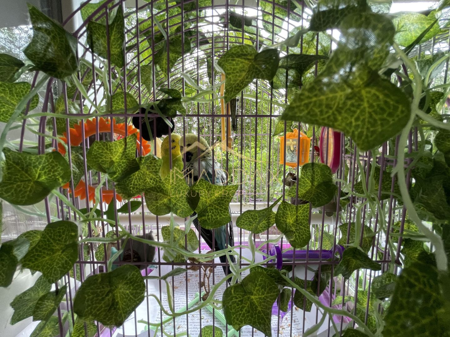 Garsoniera//Oportunitate investitie***Piata Resita-Bucuresti - Poză 5