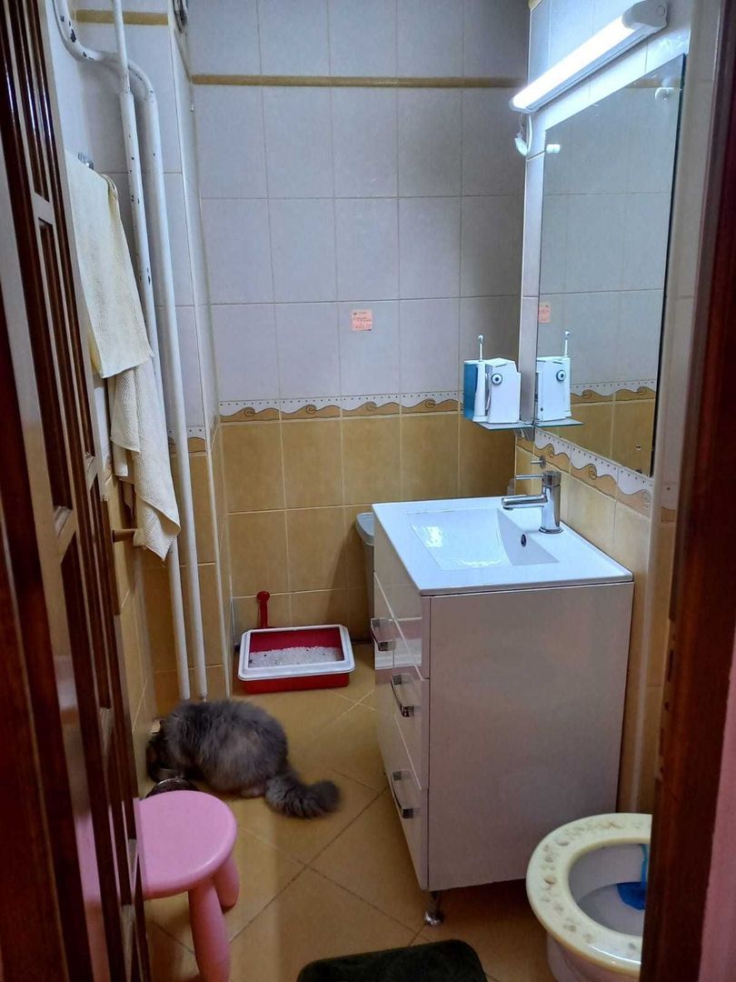 Apartament 4 Camere, Micro20 - Poză 7