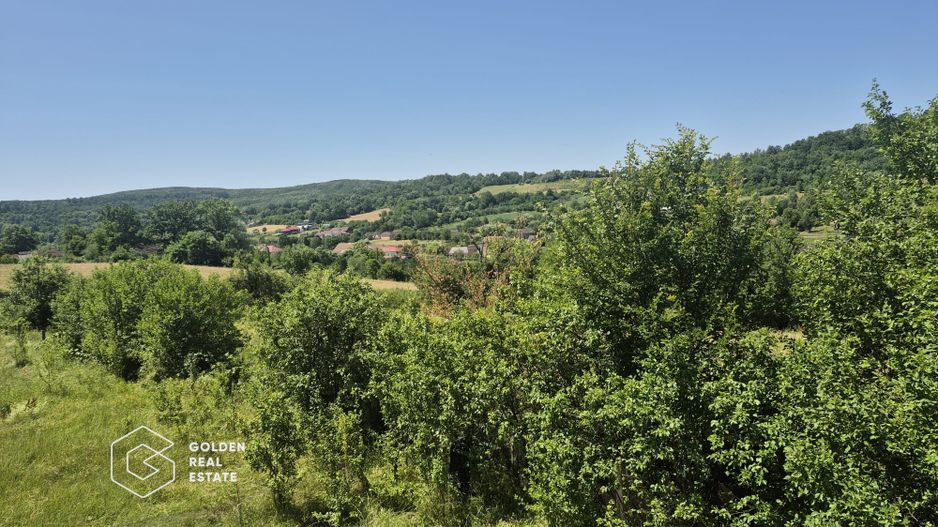Casa de vacanta in comuna Sistarovat - Poză 11