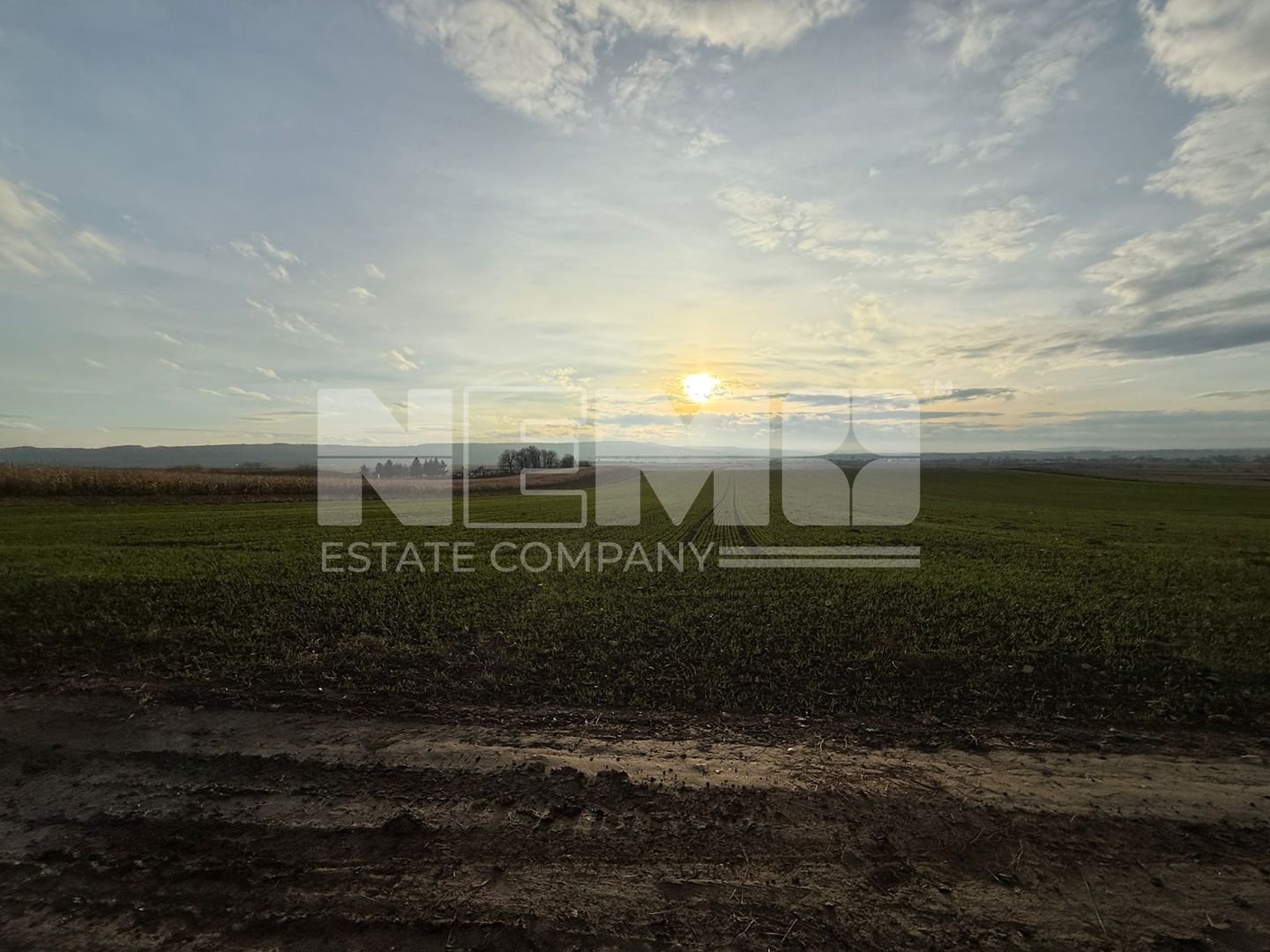 TEREN EXTRAVILAN | E85 | 126.000EURO NEGOCIABIL | - Poză 9