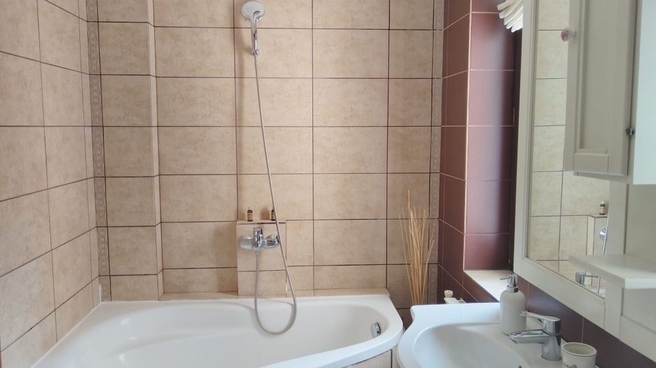 Apartament de 2 camere-de inchiriat| Piata Dorobanti-M Stefan Cel Mare - Poză 12
