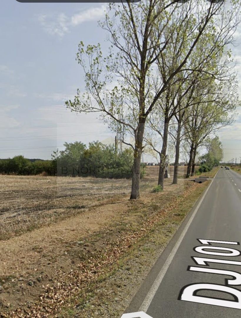 Teren de vanzate-intravilan -Balotesti-151.021 mp - Poză 3