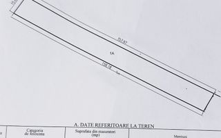 Teren de vanzare Dragomoresti Deal, Str. Bujorului, 2500 mp, utilitati - Poză 3