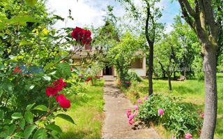 Vilă superbă Călinești! - Poză 3