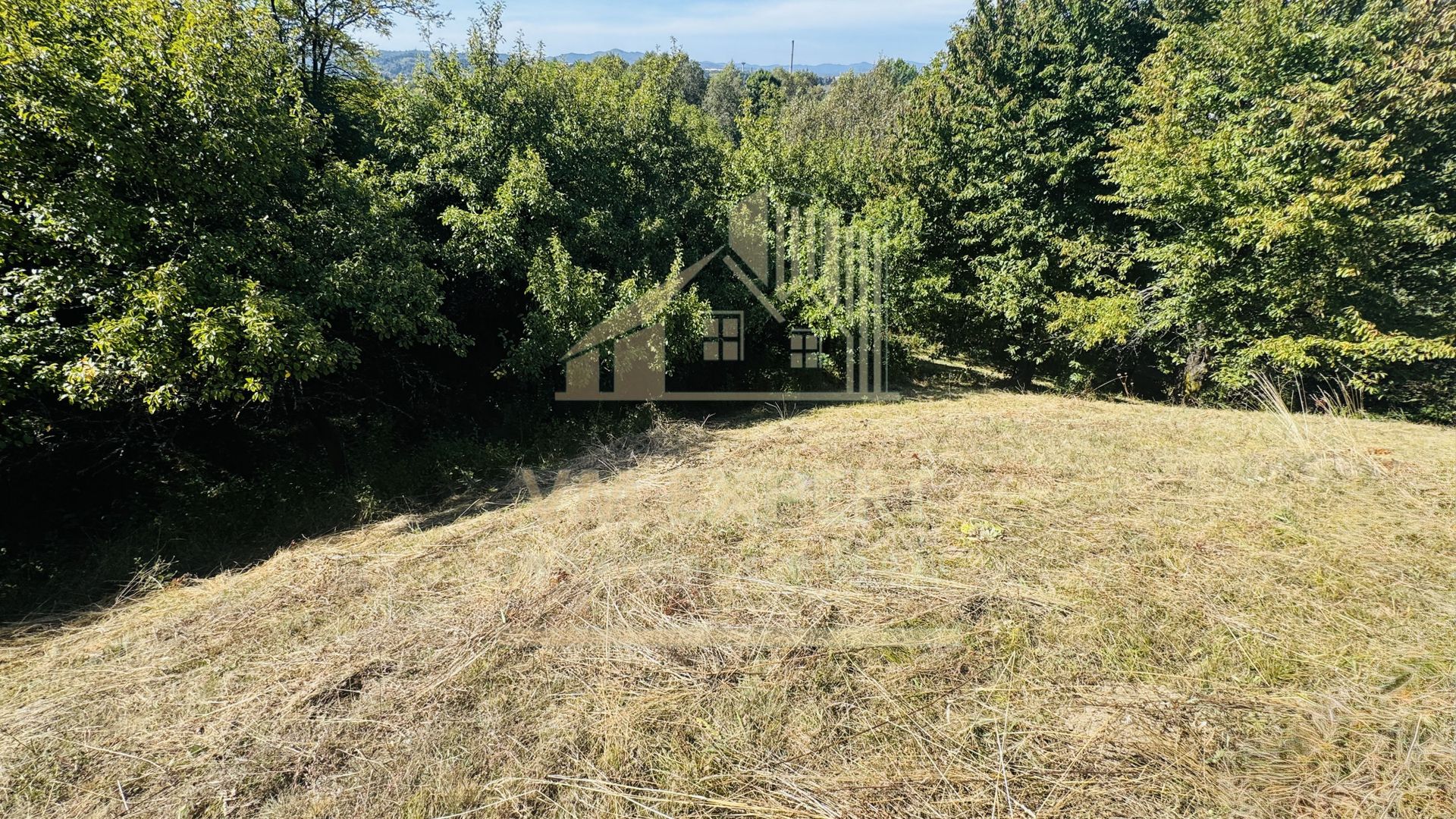 TEREN INTRAVILAN 3234 MP LEREȘTI VOINEȘTI ARGEȘ - Poză 16