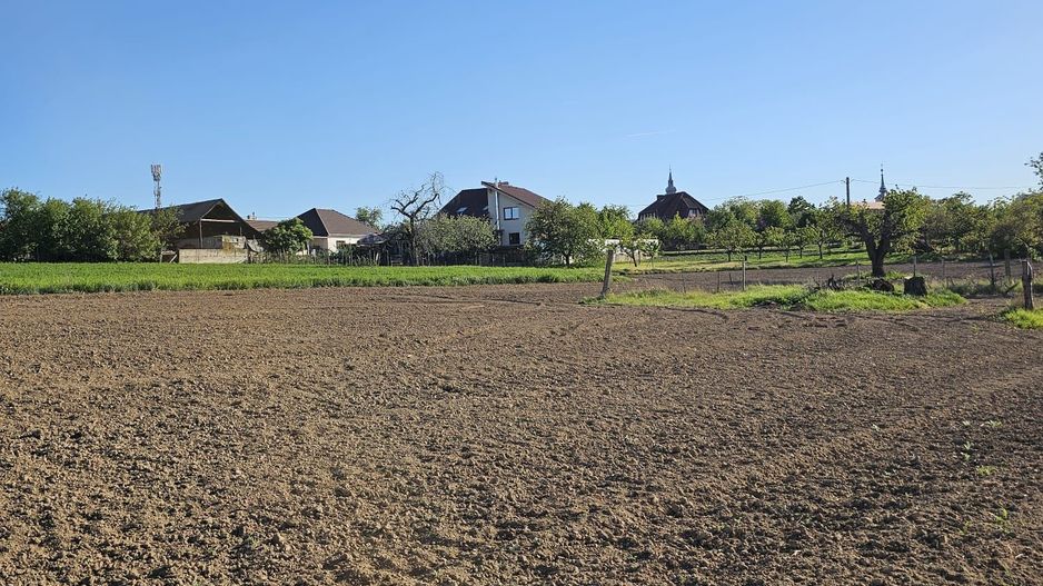 Teren intravilan Cetariu 5000 mp - Poză 1