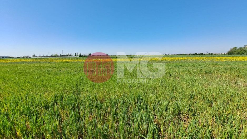 Teren de vanzare in Magurele Ifov Centura Bucuresti - Poză 3