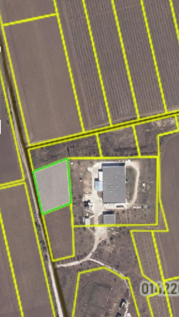 Teren agricol 40 ari Bubuieci - Poză 2
