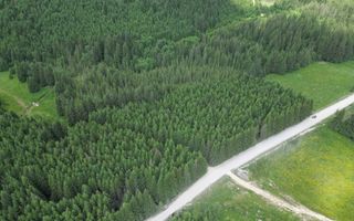 Teren extravilan 5000 MP Comandau - Poză 3
