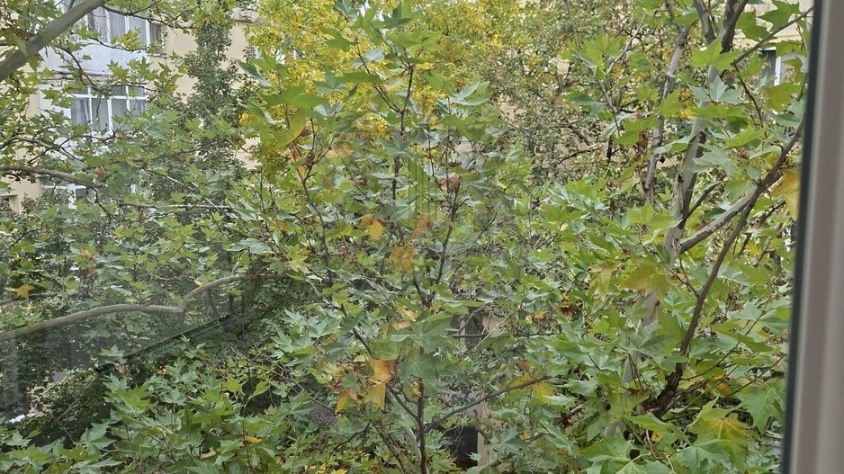 Inchiriere | 2 Camere | Moinesti - Gorjului | Centrala Proprie - Poză 15