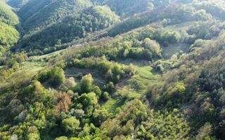 Vand teren in Poiana Ampoiului comuna Metes jud. Alba - Poză 2