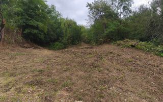 Teren 2552 mp, panorama superba Mosoaia Hintesti -Strada  Basangesti - Poză 2