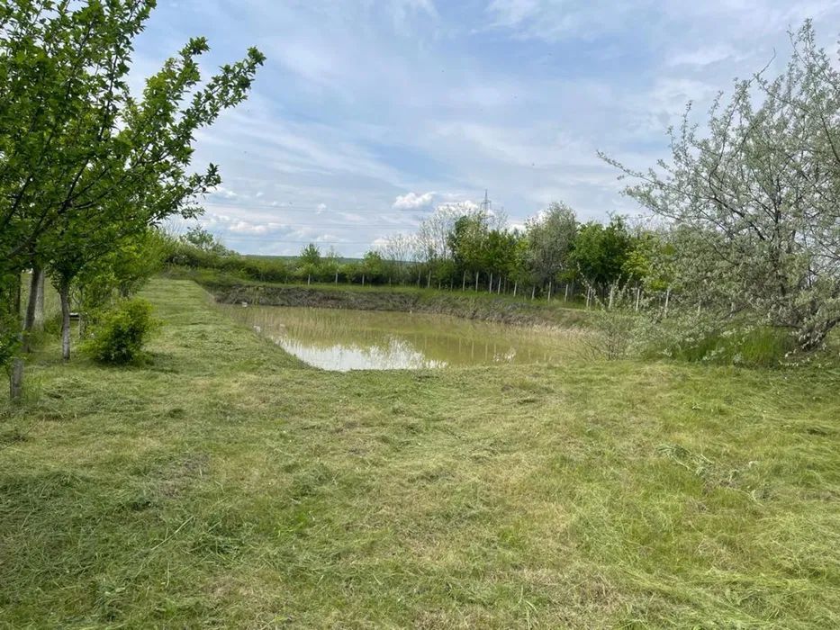 HALA spălatorie auto + teren 5700 mp, str. Călugăreni; - Poză 6