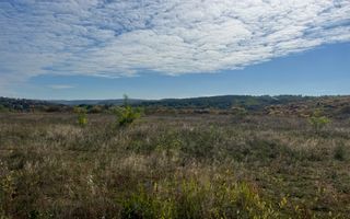 Teren intravilan 3961 MP | Paleu | Bihor - Poză 5