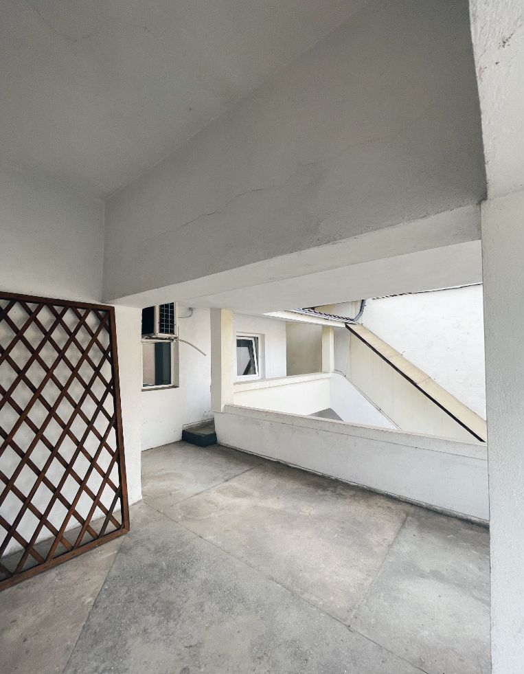 Vila cu terasa si curte de inchiriat (ideal firma), Parcul Carol - Unirii - Poză 15