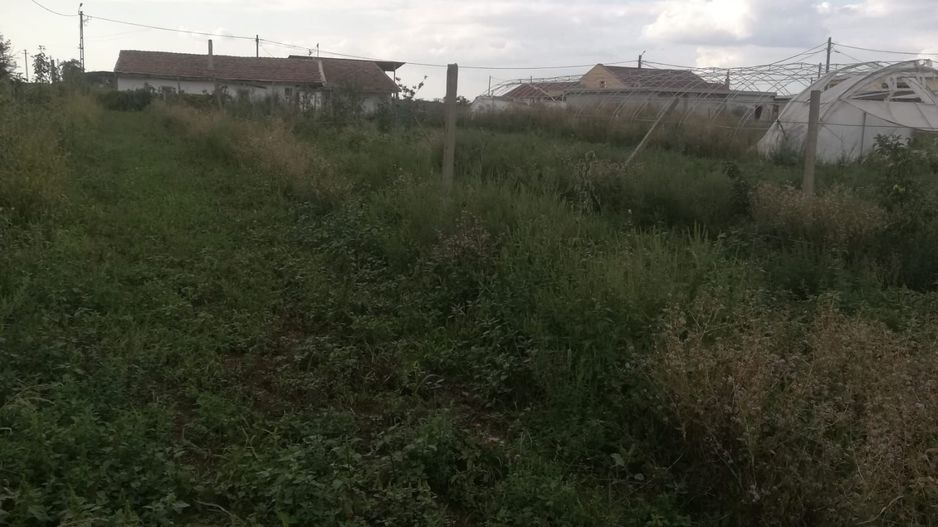 Ferma de vânzare - Poză 10