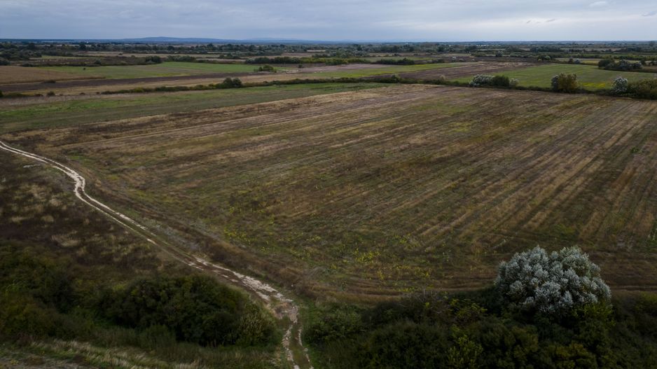 Teren agricol de 34.500mp în Albina, Județul Timiș - Poză 2