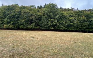 Teren langa Padure | Panorama Superba | Proiect Autorizat | Corusu - Poză 1
