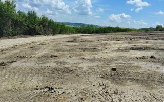 TEREN intravilan - PROSELNICI 655 MP, 19.900 EURO - Poză 5