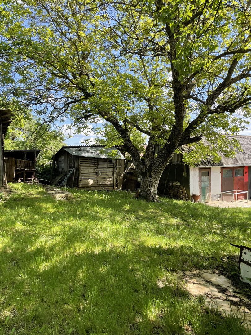 Casa in Comuna Geaca - Poză 24