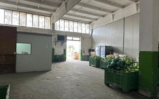 Hala de inchiriat Grădiște/Sere, Arad-761 mp - Poză 1