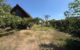 Casa rustica I 2corpuri I 1460mp teren I Porumbacu de jos - Poză 25