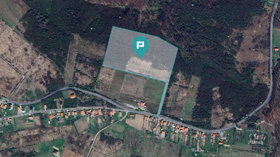 Teren de vânzare – 5,47 ha | Dealul Viilor, Lugoj - Poză 2