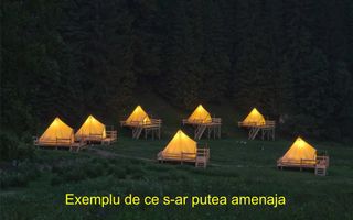 Teren 5+3 ha pentru camping în pădure, 500 m front la râu, 7 km Hârlău, lângă lacul Pârcovaci - Poză 2