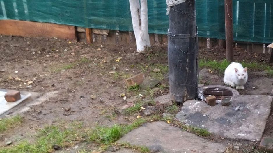 Casă Tătărași excepțional situată! - Poză 2