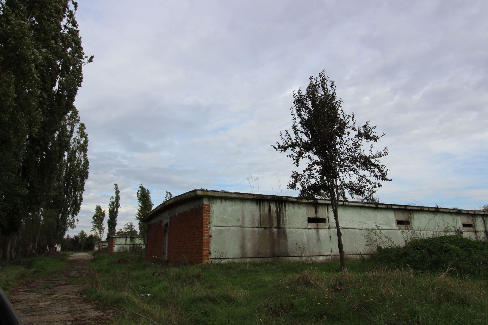 Vanzare hale Mosnita Noua-fosta Ferma 7 - Poză 14