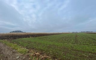 TEREN EXTRAVILAN 13 ARI | FRONT STRADAL 13 M | MARGINEA - Poză 4