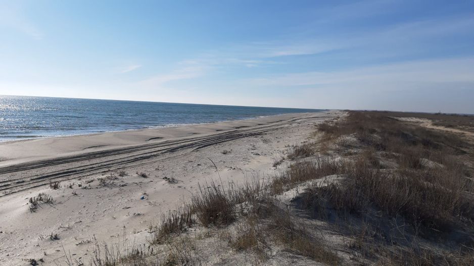 Teren 1000 mp - Plaja Vadu - Poză 1