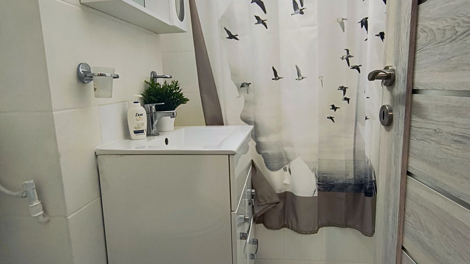 2 camere, Piata Victoriei, Titulescu, Banu Manta, Kisseleff - Poză 11