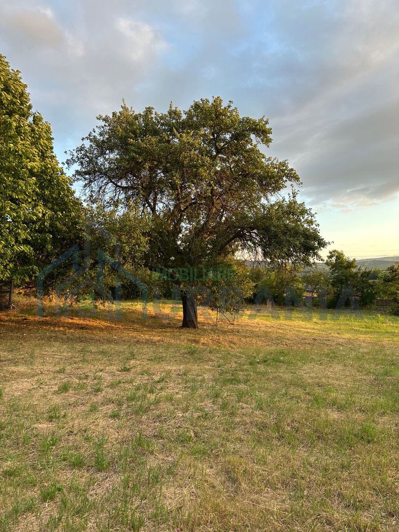 Teren Intravilan de Vânzare în Picioru Lupului - Poză 1