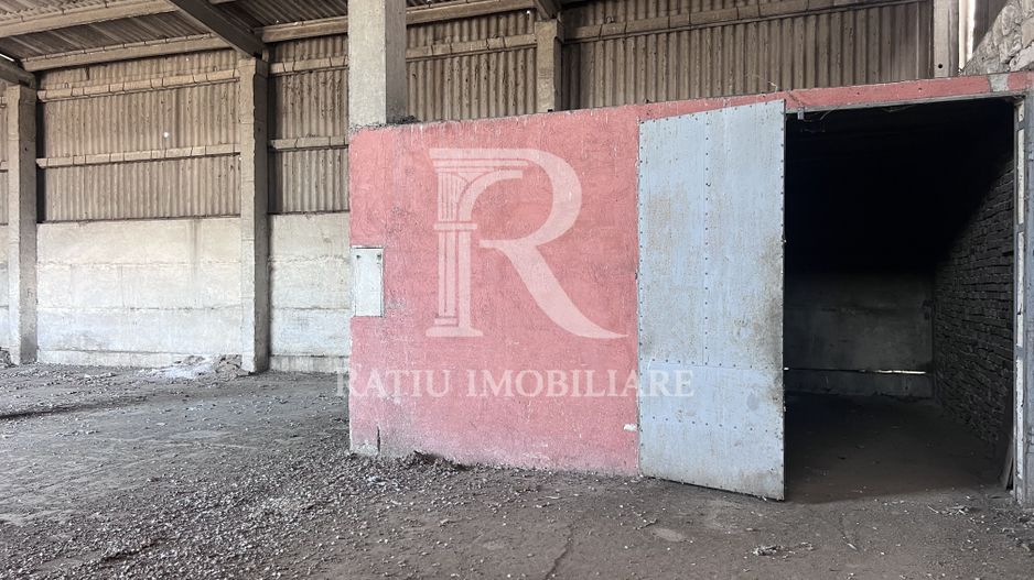 PLATFORMĂ INDUSTRIALĂ STRATEGICĂ ÎN ORADEA –  POTENȚIAL OPERATIONAL - Poză 19