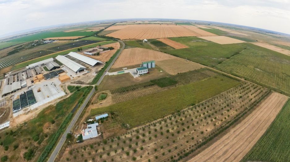 Livadă de 3,6 hectare în Iratoșu – Oportunitate - Poză 6