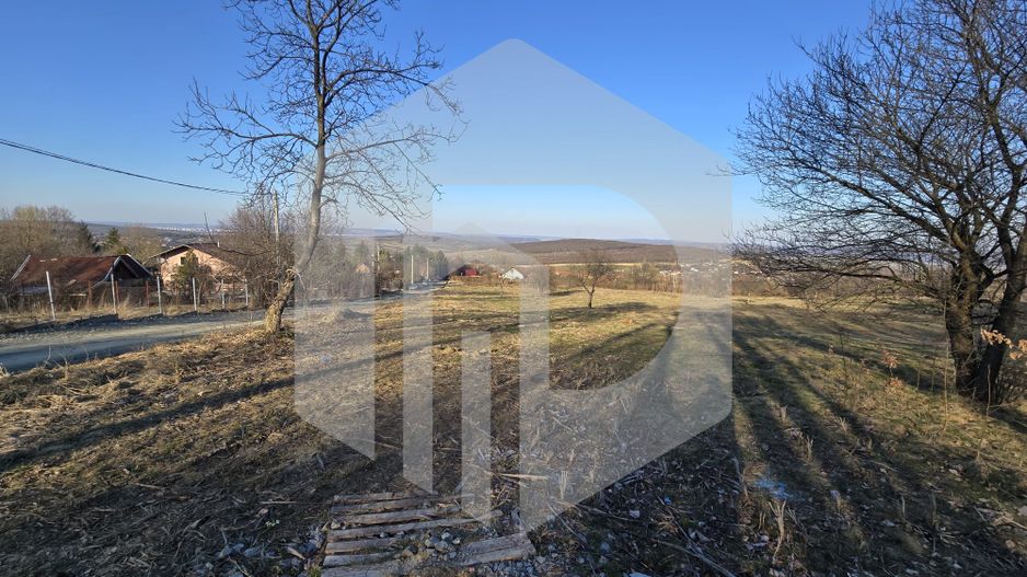 Teren 24.000 mp - Comasat - Utilități - Tocile - Priveliște superbă - Poză 3