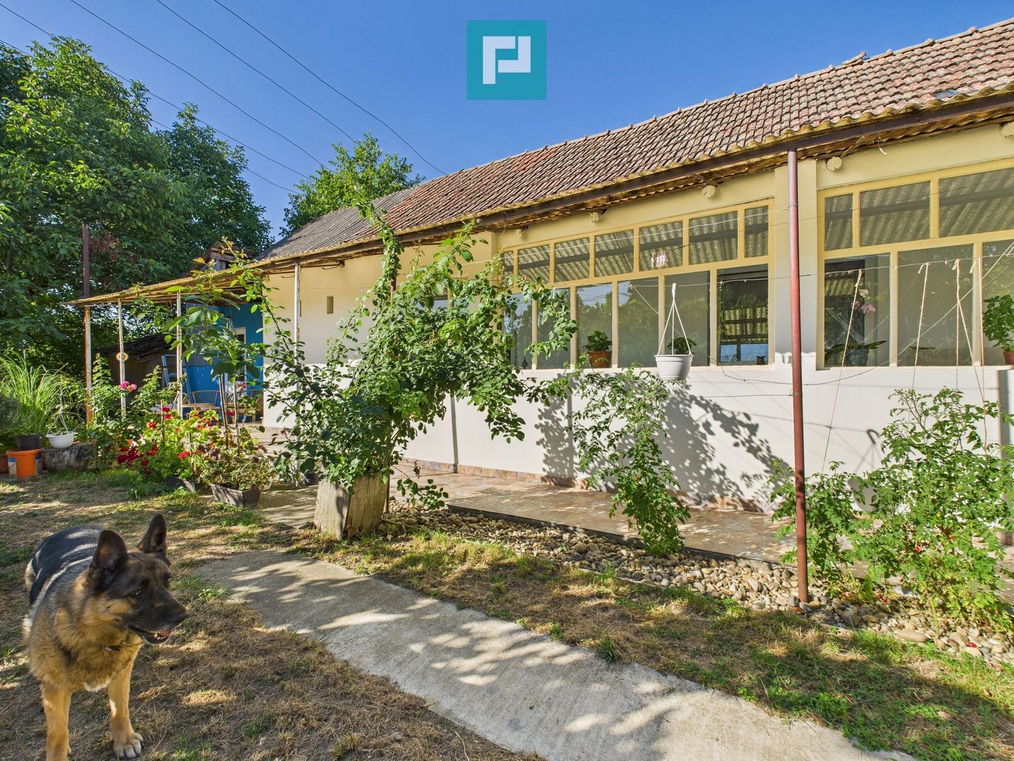 Casă 4 camere centru Vinga - Poză 2