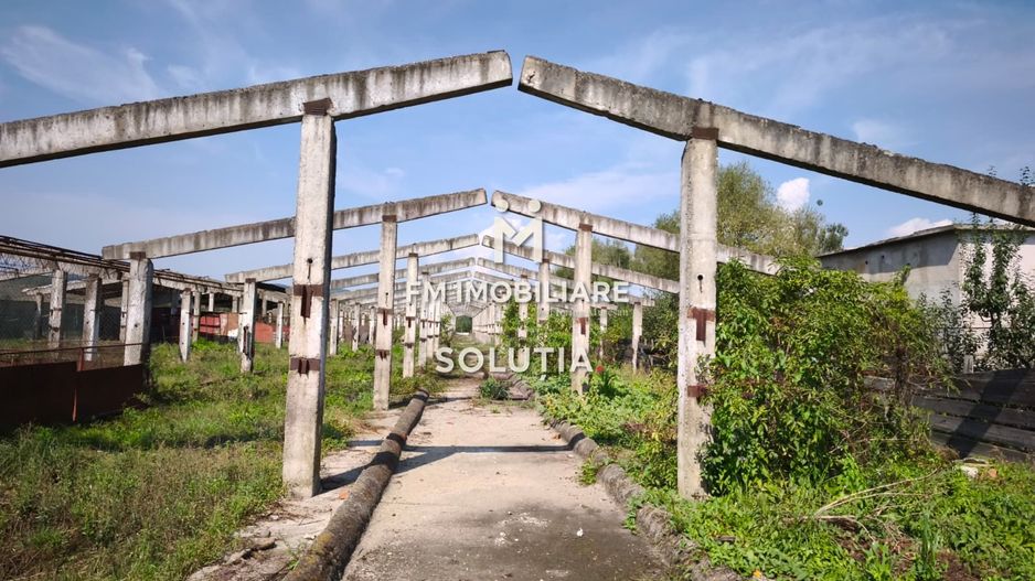 Complex industrial  cu teren 18,672 mp Târgu Lăpuș - Poză 21