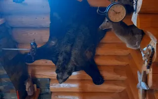 Cabana tip Chalet cu 4 dormitoare Cheia Valea Stanii - Poză 25