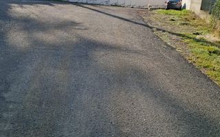 Pensiune de vânzare în Păltiniș – oportunitate de investiție - Poză 8