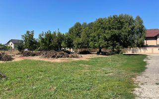 Teren intravilan | 2 deschideri | Ștefăneștii Noi – Str. Primăverii - Poză 5