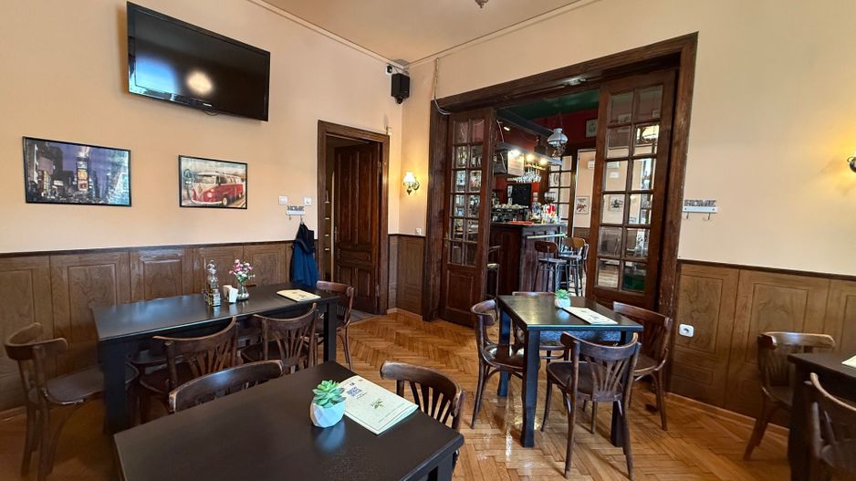 VILA LOCATIE UNICA GRADINA ICOANEI - Poză 3