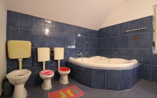 Casa in zona Lipovei,  ideala pentru activitati comerciale. - Poză 35