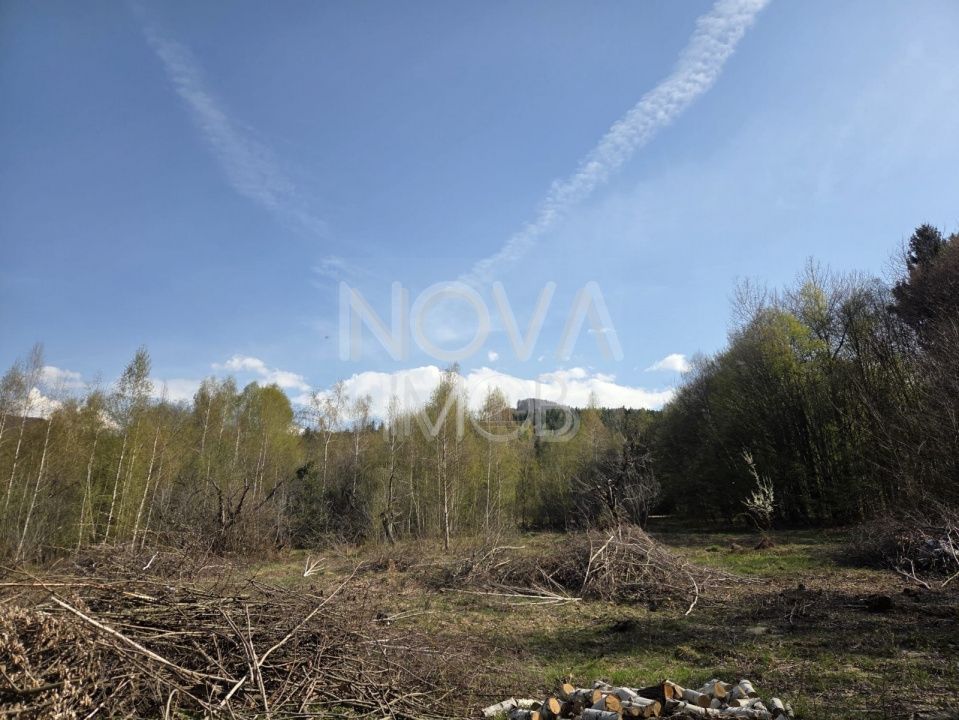 Teren intravilan de vanzare - Vistisoara - Poză 6