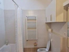Apartament 1 camera Dumbravita bloc nou - Poză 8