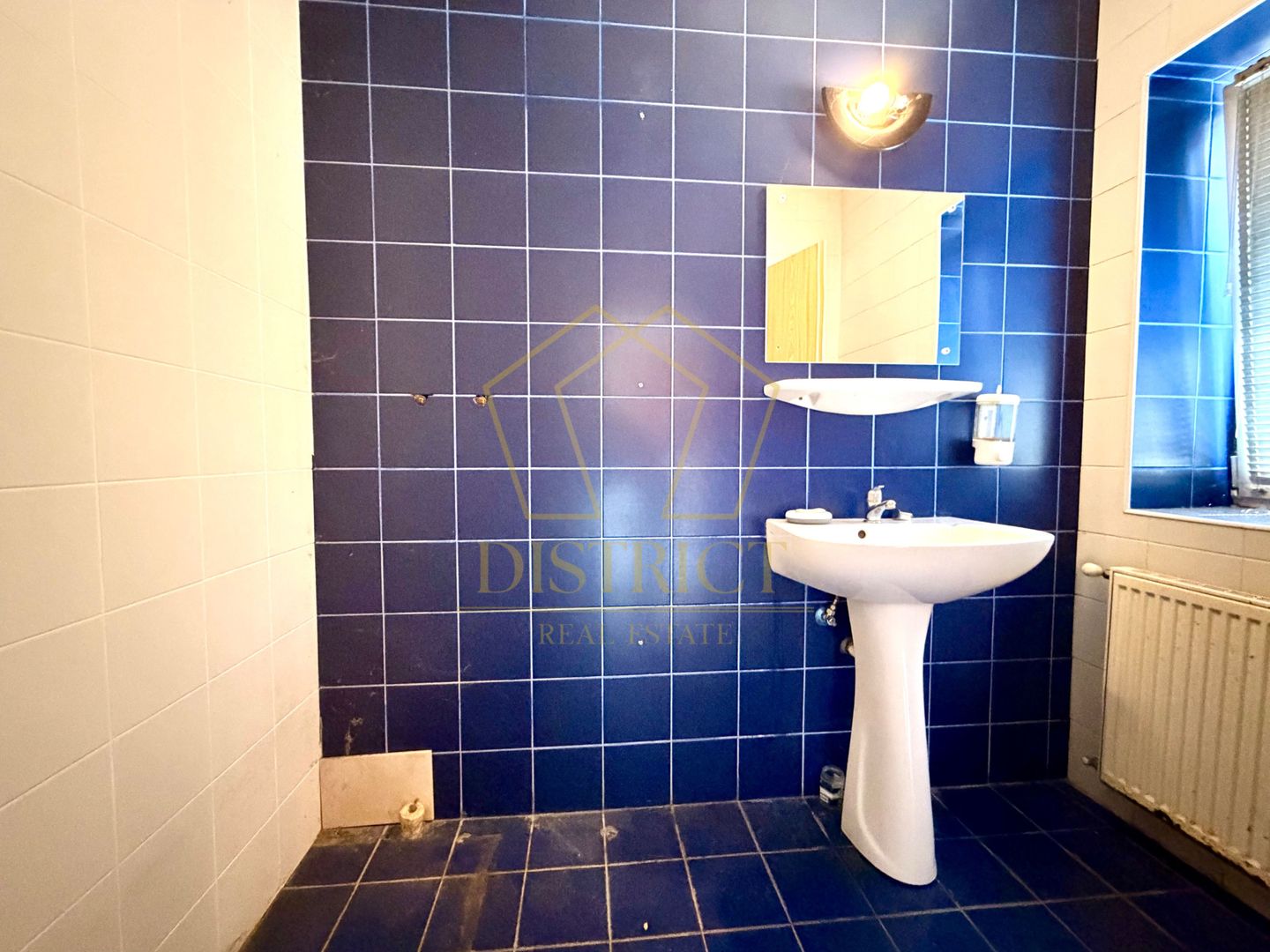 Proprietate multifuncțională cu potențial ridicat | Blascovici - Poză 13