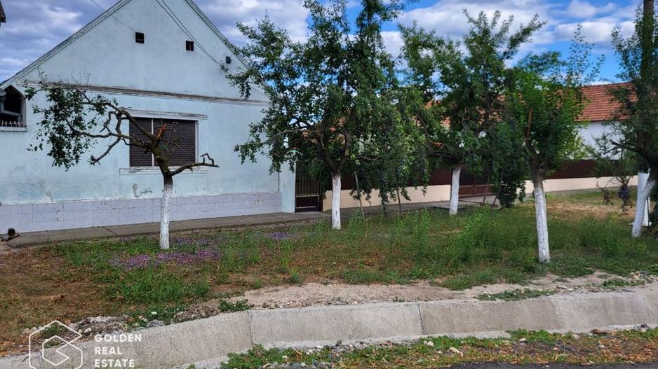 Casa cu teren 3300 mp, comuna Zabrani - Poză 1