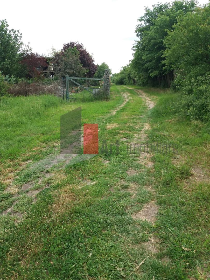 Teren Buftea cu iesire la lac - Poză 3