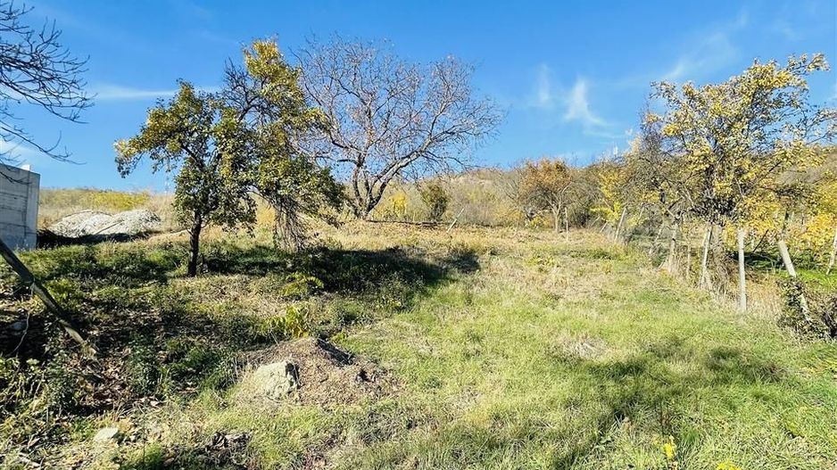 Teren de vanzare intravilan Oradea - Poză 4